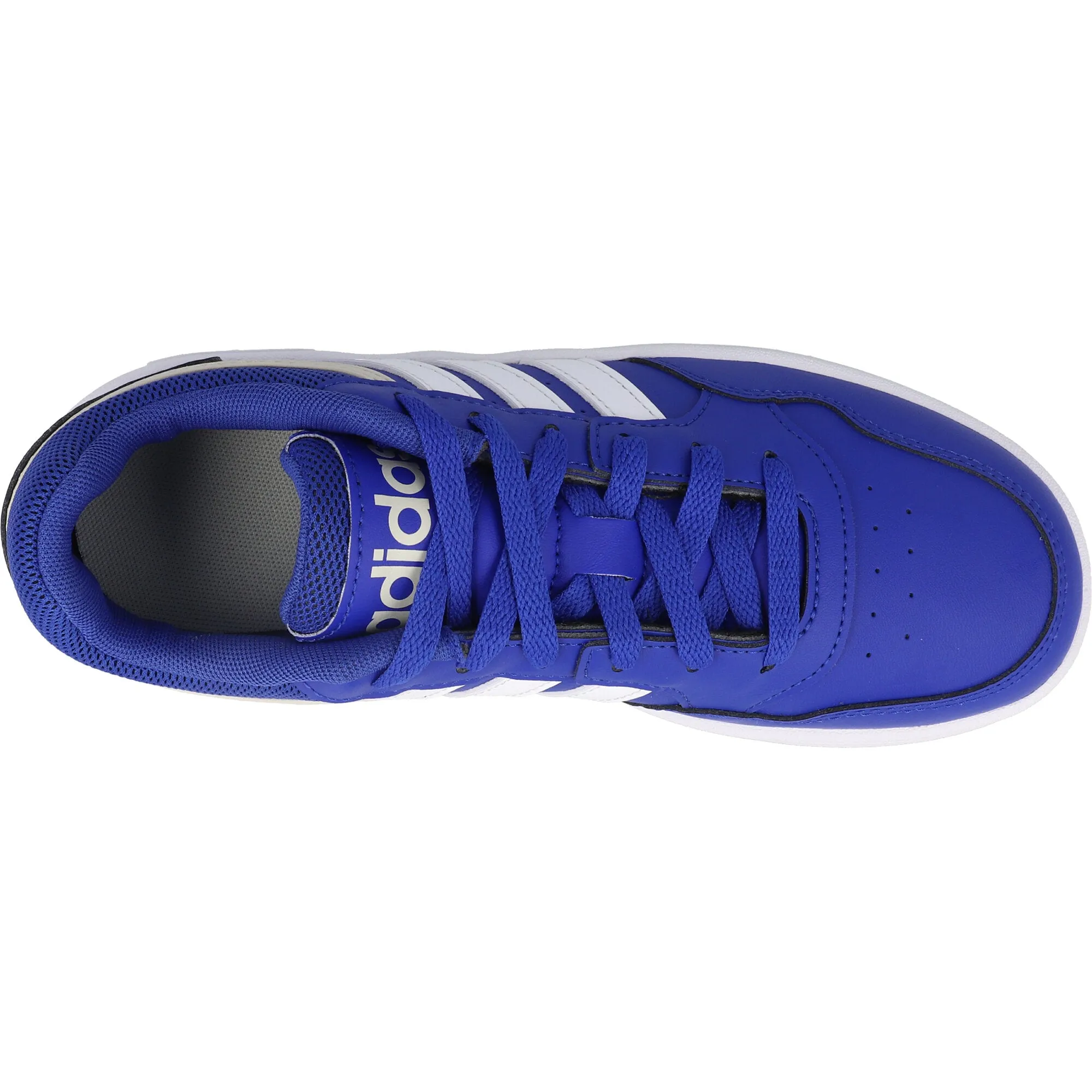 adidas Hoops 3.0 Royal Blue Kids Sneakers