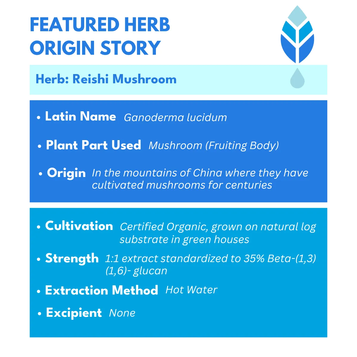 Bold Reishi Mushroom