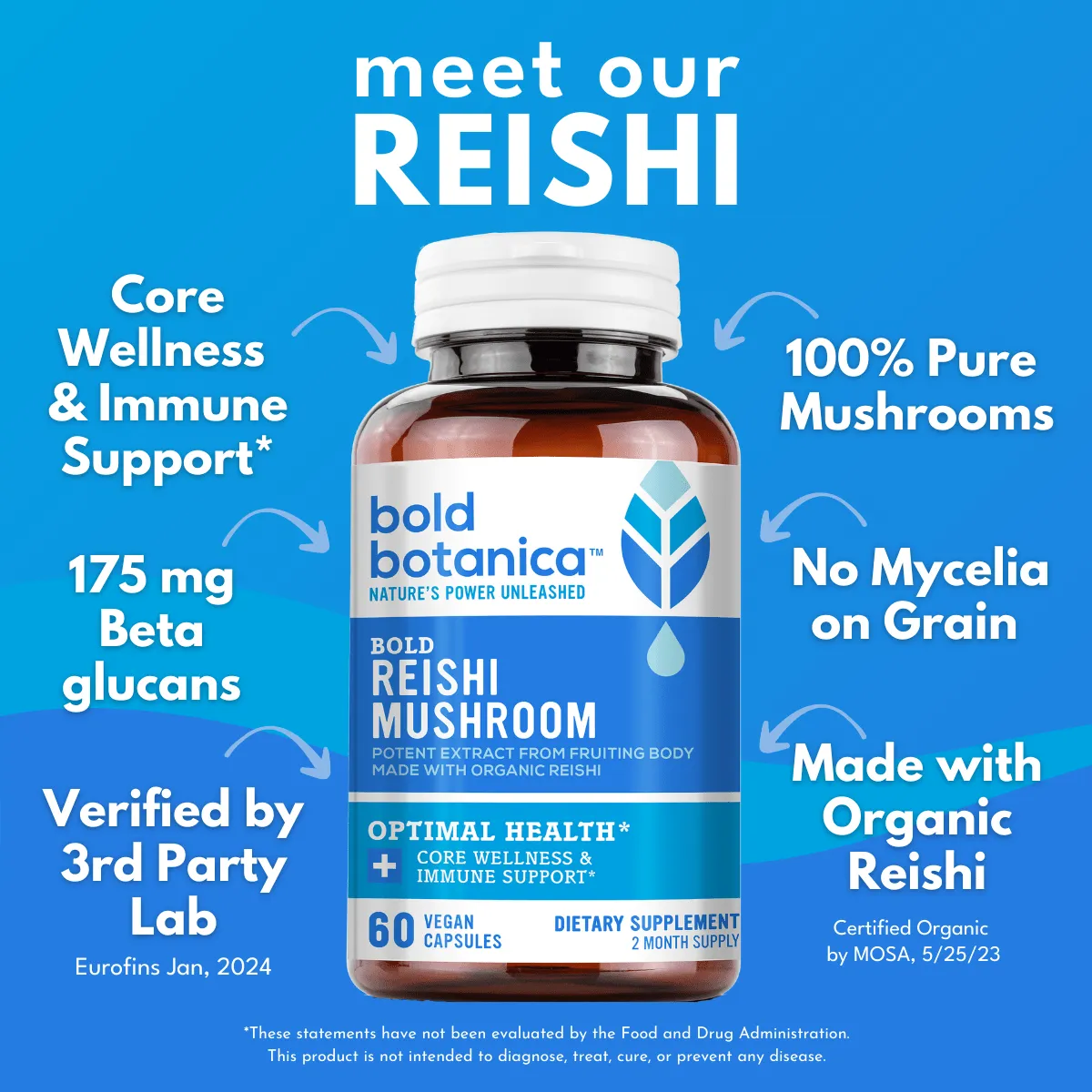 Bold Reishi Mushroom