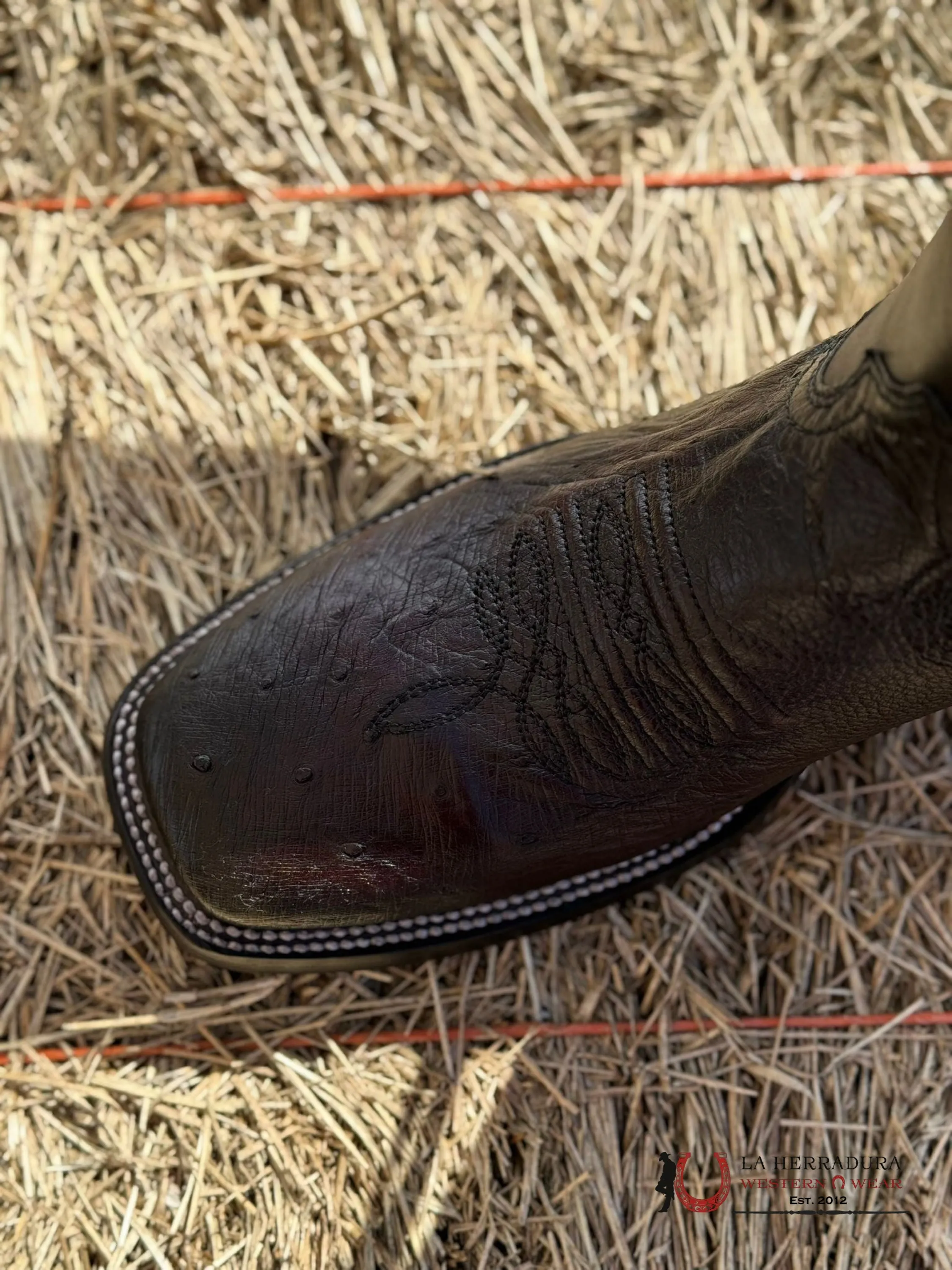 CUDRA BOOTS PANZA DE AVESTRUZ BLACK CHERRY LASER & WOVEN SQUARE TOE