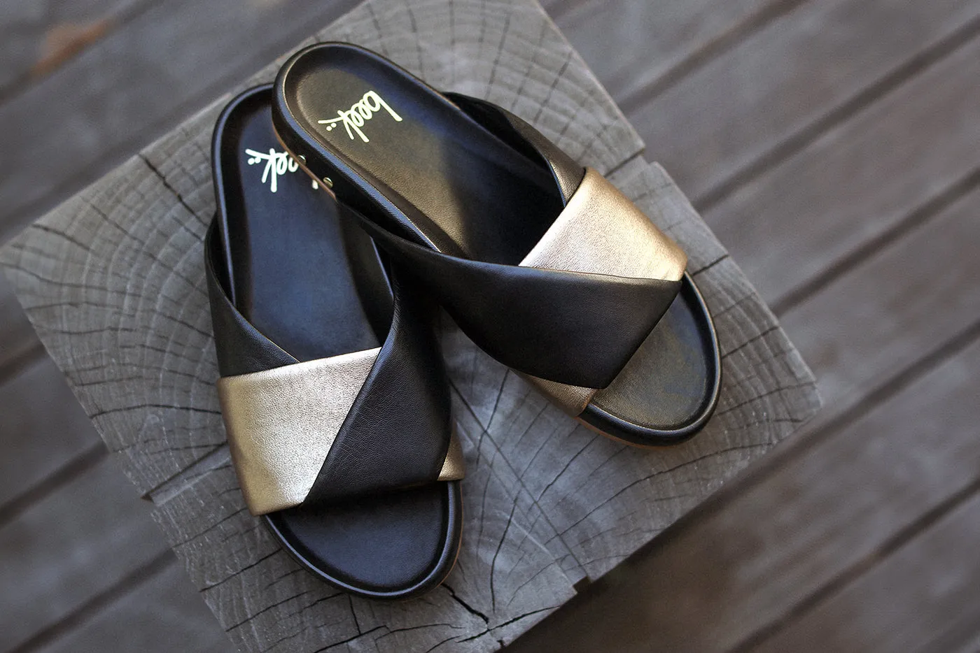 PALOMA - Bronze/Black