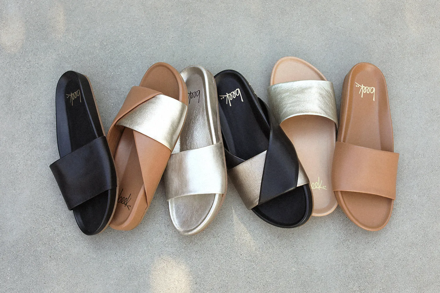 PALOMA - Bronze/Black