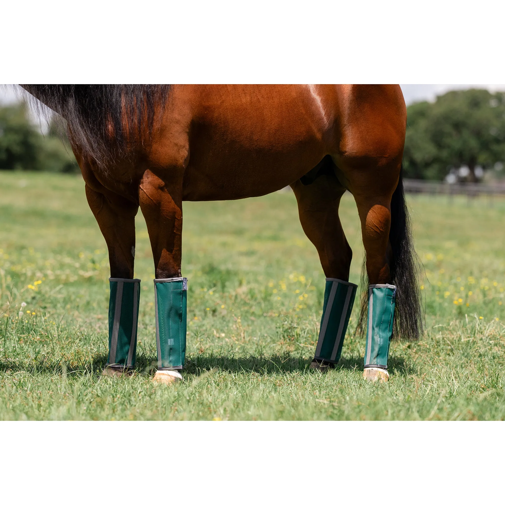 Professional's Choice Deluxe Fly Boots (4 Pack)- Emerald