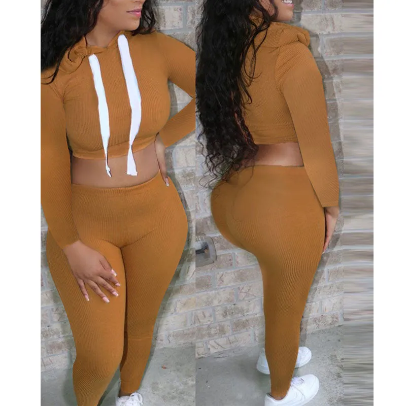 Solid Long Sleeve Hoodie Crop Top & Pants Set