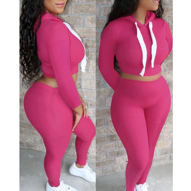 Solid Long Sleeve Hoodie Crop Top & Pants Set