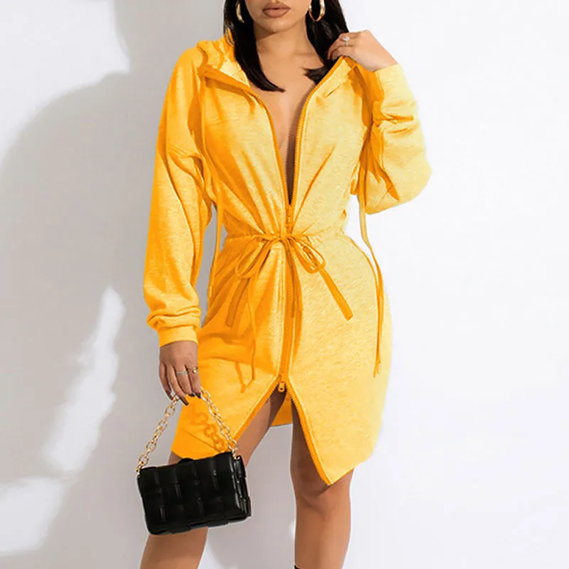 Solid Long Sleeve Zipper Design Sweater Dress