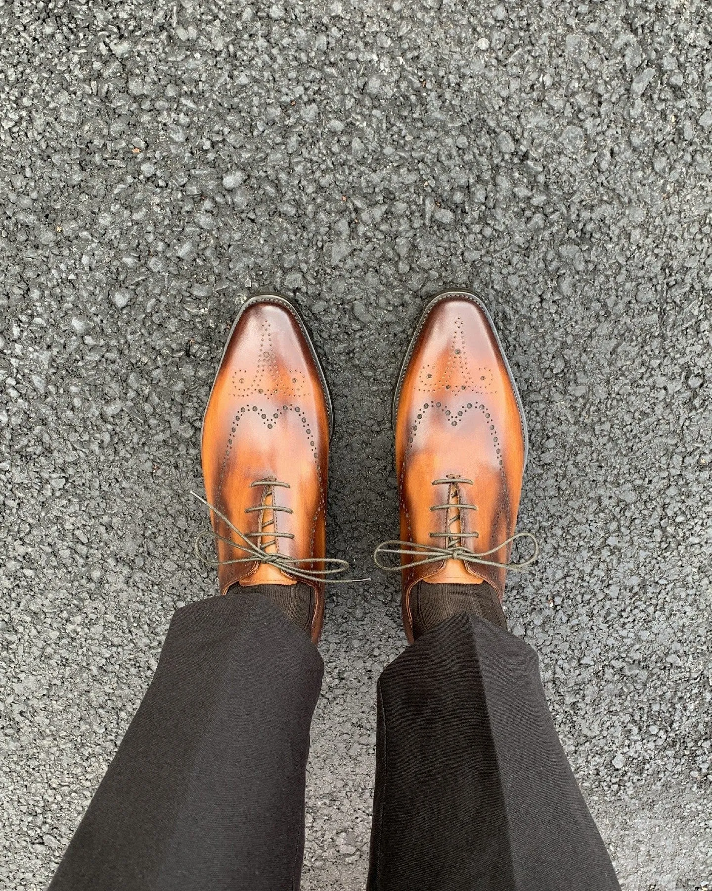The Alden Whole Cut Oxford